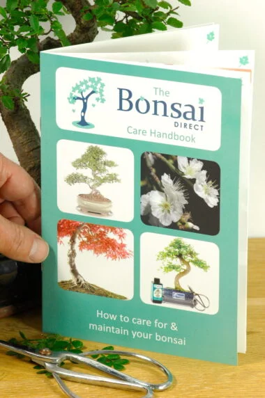 The Bonsai Direct Care Handbook