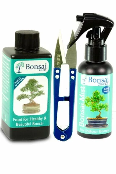 Bonsai feed, snips and mist - The Bonsai basics for care