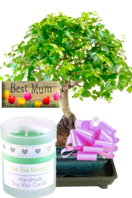 Mother's Day Gift with tag and candle