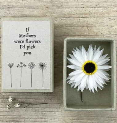 If mothers were flowers I'd pick you matchbox flowers