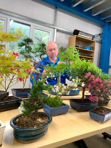 Lloyd with his spring collection of bonsai trees